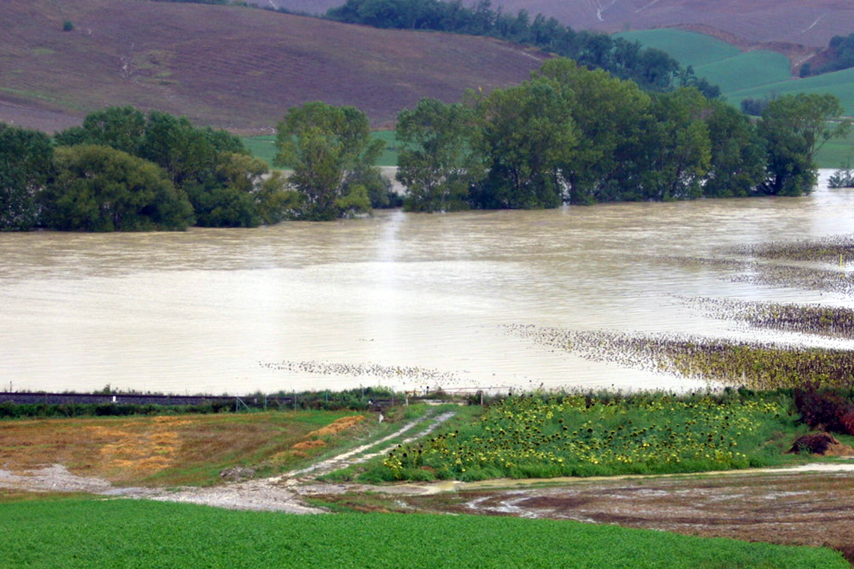 Danni al comparto agricolo a seguito delle pioggie alluvionali del 16 e 17 aprile 2025.