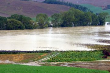 Danni al comparto agricolo a seguito delle pioggie alluvionali del 16 e 17 aprile 2025.